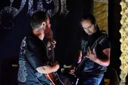 Concert, Shade and Dust