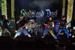 Concert, Shade and Dust