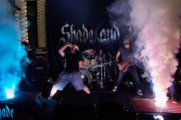 Concert, Shade and Dust