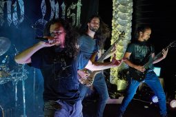 Concert, Shade and Dust