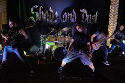 Concert, Shade and Dust