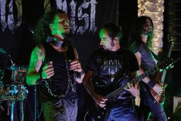 Concert, Shade and Dust