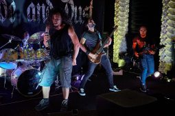 Concert, Shade and Dust