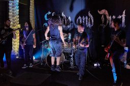Concert, Shade and Dust