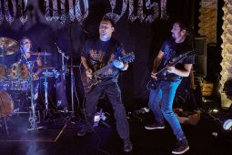 Concert, Shade and Dust