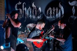 Concert, Shade and Dust
