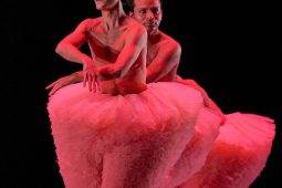 Spectacle, Tutu