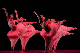 Spectacle, Tutu