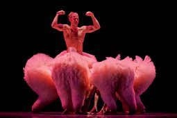 Spectacle, Tutu