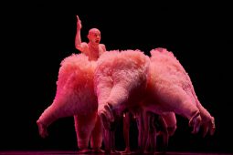 Spectacle, Tutu