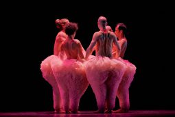 Spectacle, Tutu
