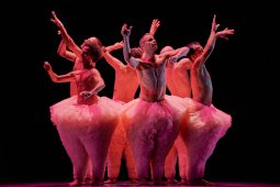 Spectacle, Tutu