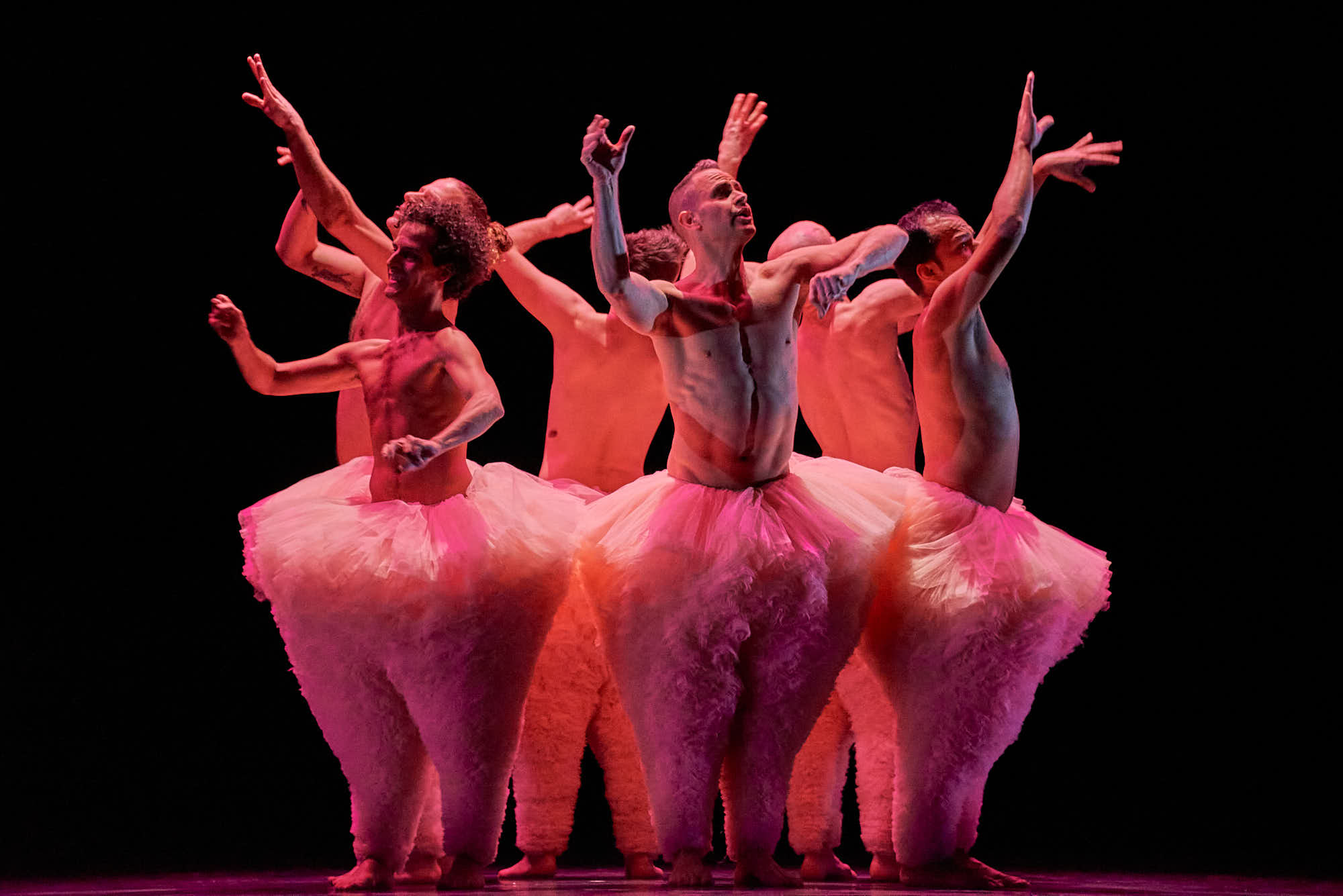Tutu