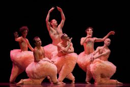 Spectacle, Tutu