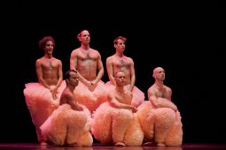 Spectacle, Tutu