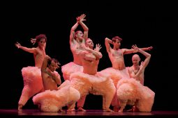 Spectacle, Tutu