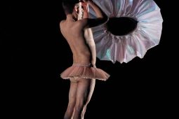 Spectacle, Tutu