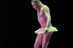 Spectacle, Tutu