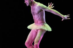 Spectacle, Tutu