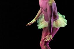 Spectacle, Tutu