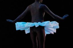 Spectacle, Tutu