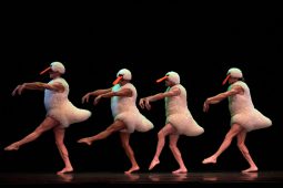 Spectacle, Tutu