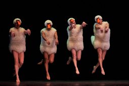 Spectacle, Tutu
