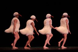 Spectacle, Tutu