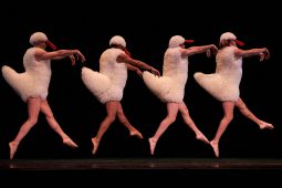 Spectacle, Tutu