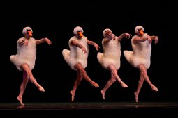 Spectacle, Tutu
