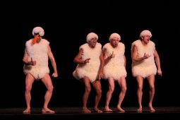 Spectacle, Tutu