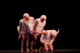 Spectacle, Tutu