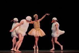 Spectacle, Tutu