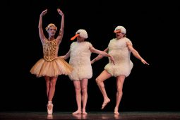 Spectacle, Tutu
