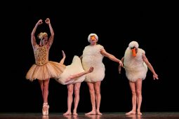 Spectacle, Tutu