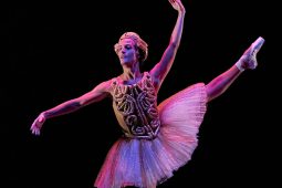 Spectacle, Tutu