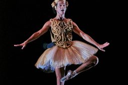 Spectacle, Tutu
