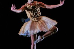 Spectacle, Tutu