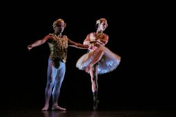 Spectacle, Tutu