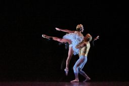 Spectacle, Tutu