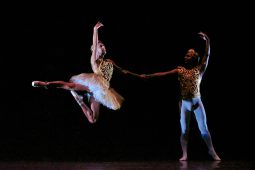 Spectacle, Tutu