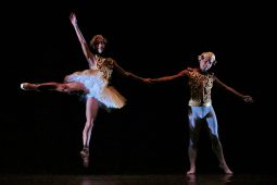 Spectacle, Tutu