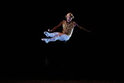 Spectacle, Tutu