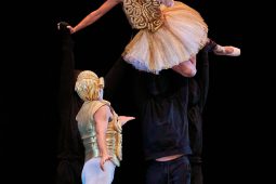 Spectacle, Tutu