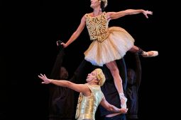 Spectacle, Tutu