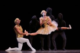 Spectacle, Tutu