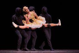 Spectacle, Tutu