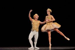 Spectacle, Tutu