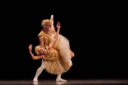 Spectacle, Tutu