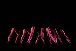 Spectacle, Tutu